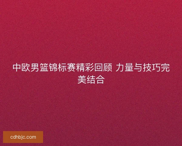中欧男篮锦标赛精彩回顾 力量与技巧完美结合