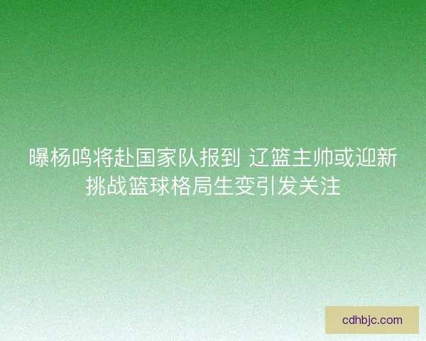 曝杨鸣将赴国家队报到 辽篮主帅或迎新挑战篮球格局生变引发关注