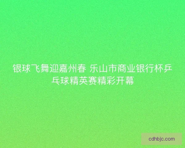 银球飞舞迎嘉州春 乐山市商业银行杯乒乓球精英赛精彩开幕