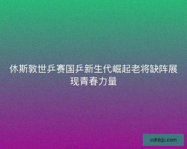 休斯敦世乒赛国乒新生代崛起老将缺阵展现青春力量